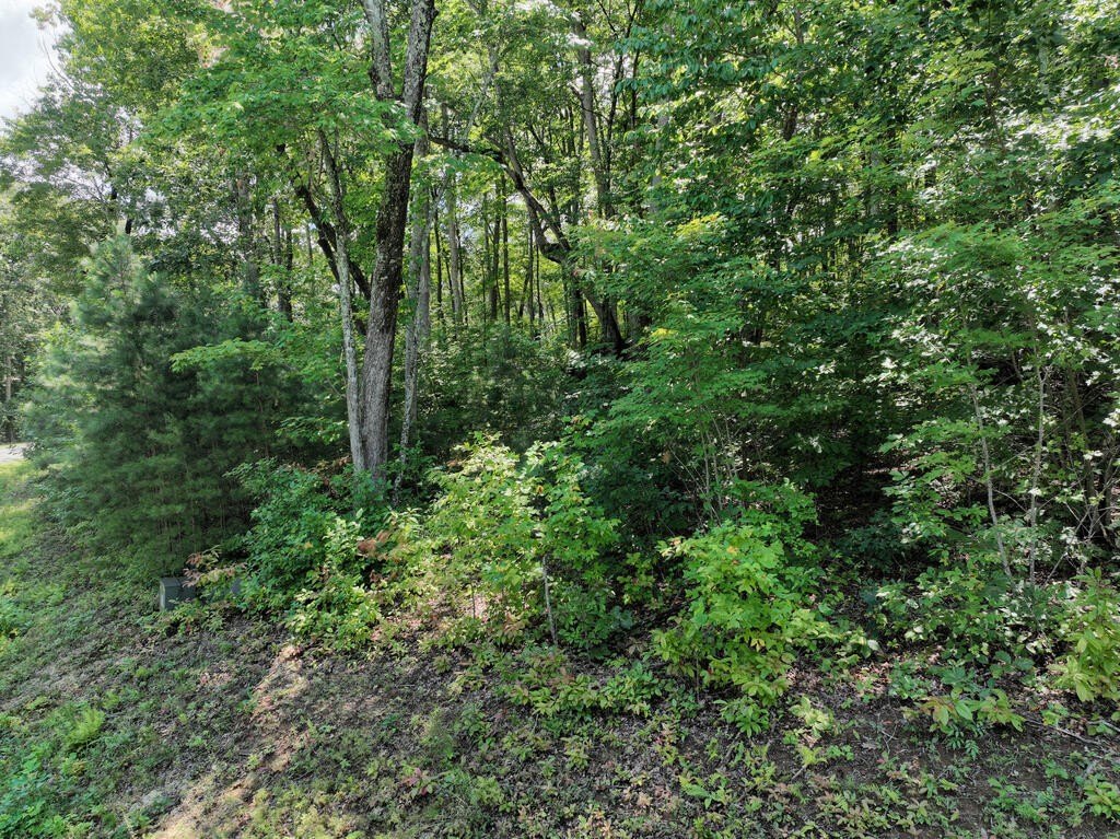 Picture 9
