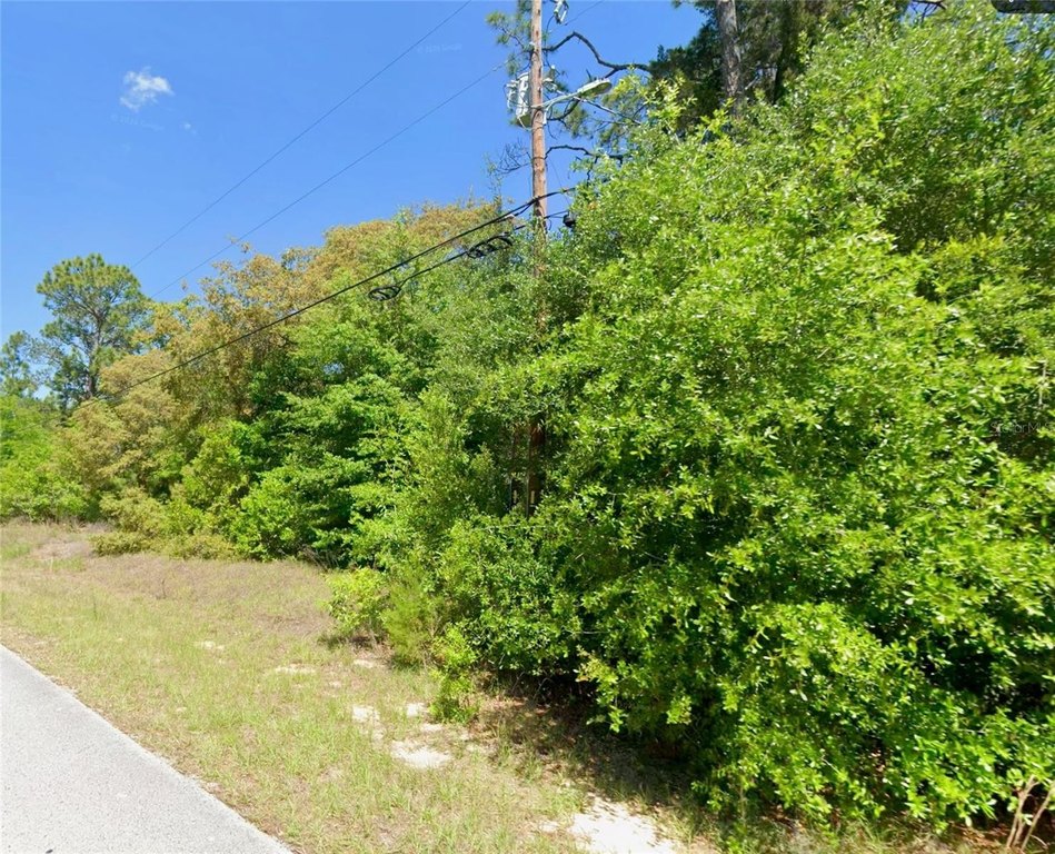 Picture 6