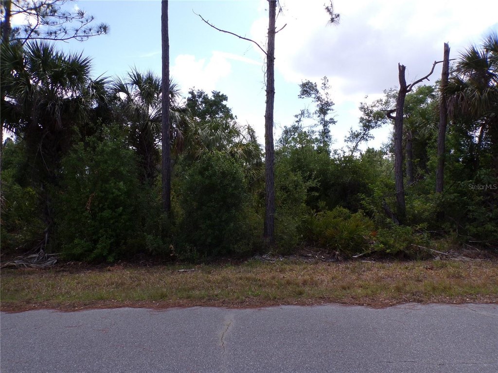 Picture 2