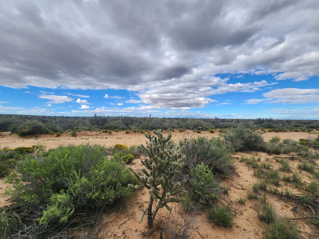 Picture 20