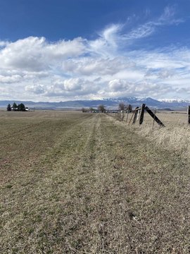 Irrigated Farm Ground with Water Shares