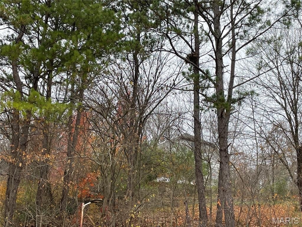 Picture 3