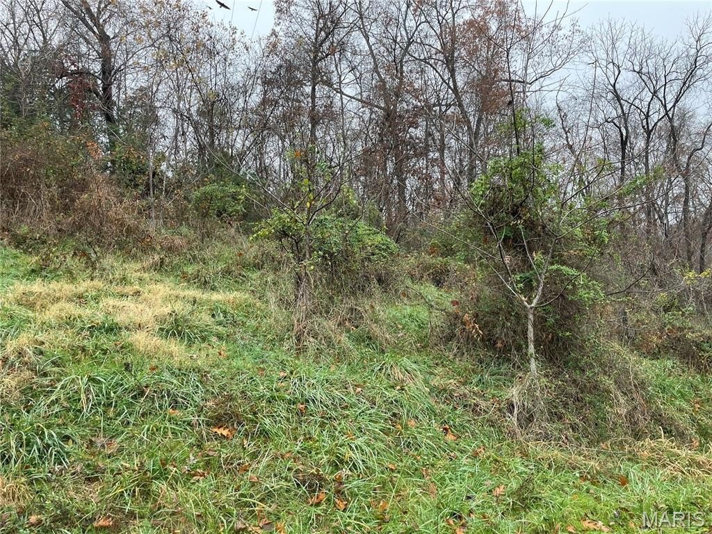 Picture 2