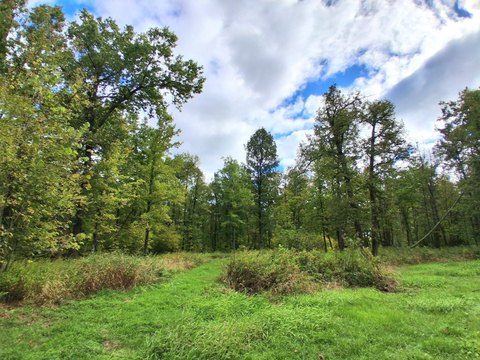 Land, Onamia, MN