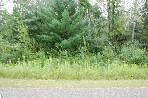 Wooded Lake-Access Residential Lot
