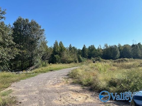 Level 20-Acre Land Parcel