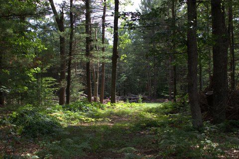 LAND - Twin Lake, MI