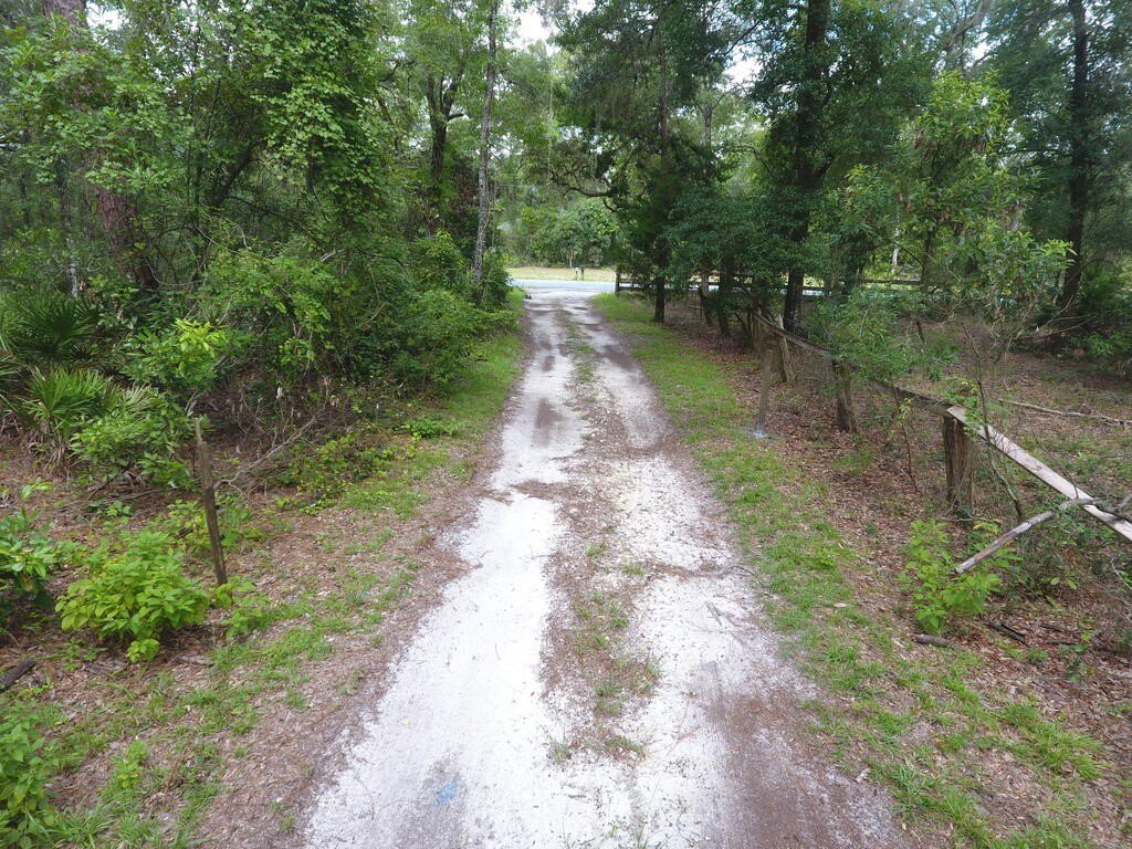 Picture 7