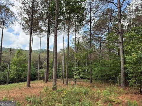 Ellijay, GA Land Parcel
