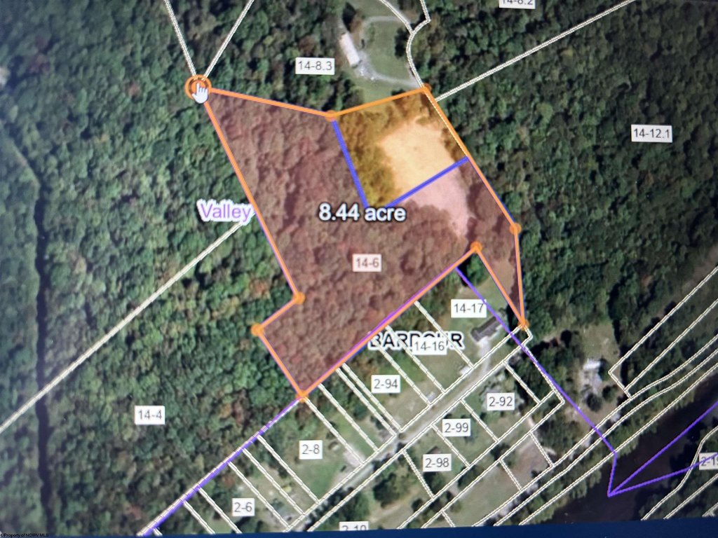 Picture 9