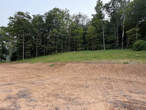 Lots/Land, Belington, WV