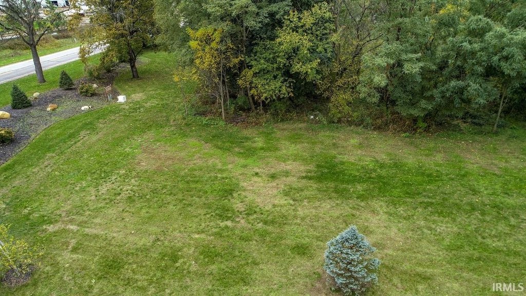 Picture 8