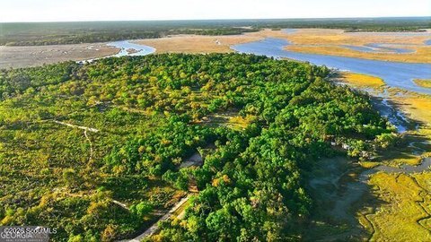 LAND - Shellman Bluff, GA