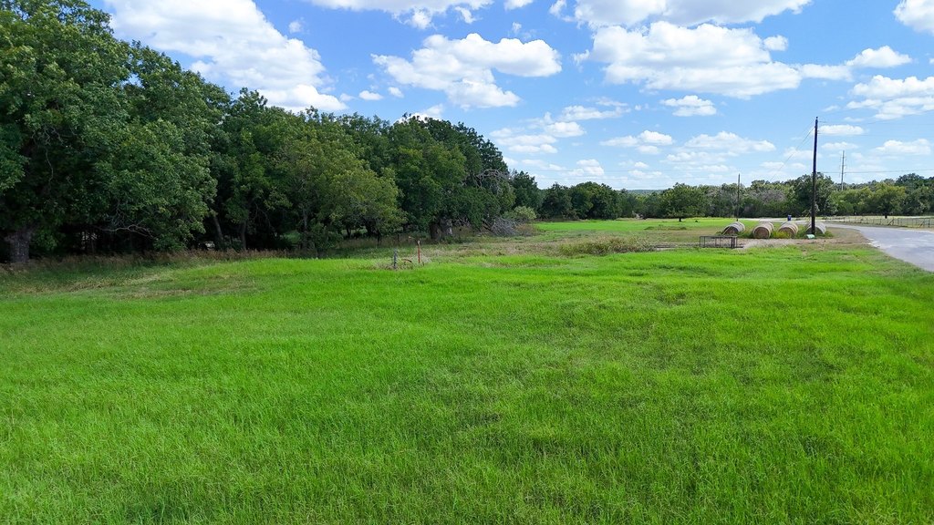 Picture 14