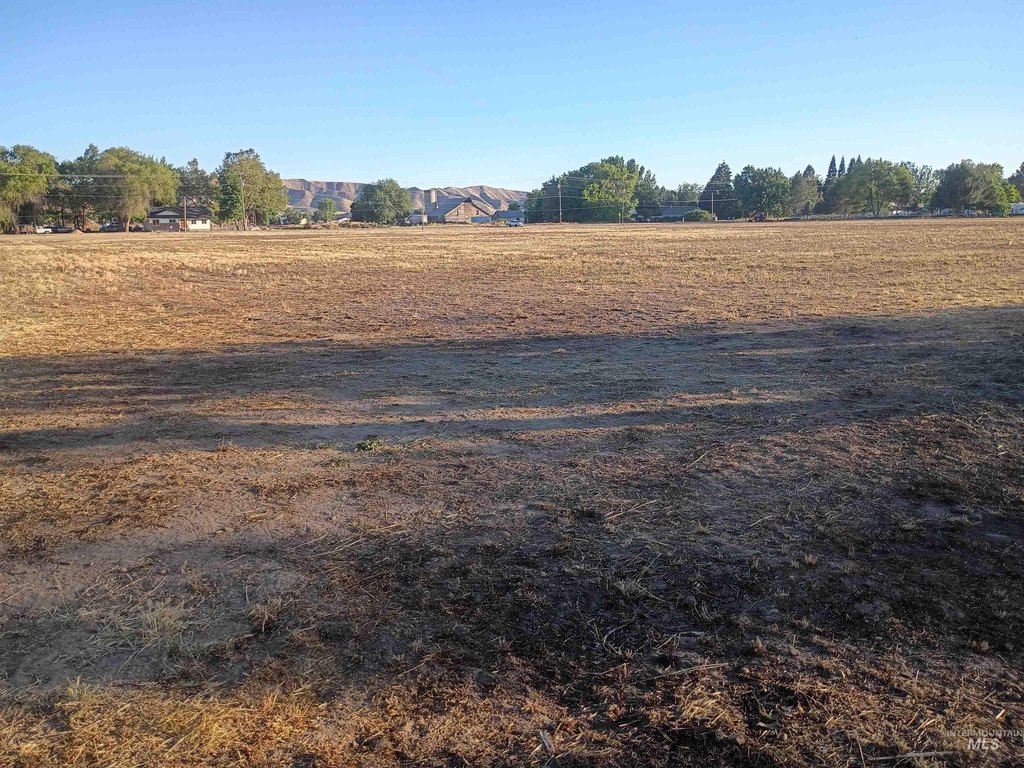 Picture 15