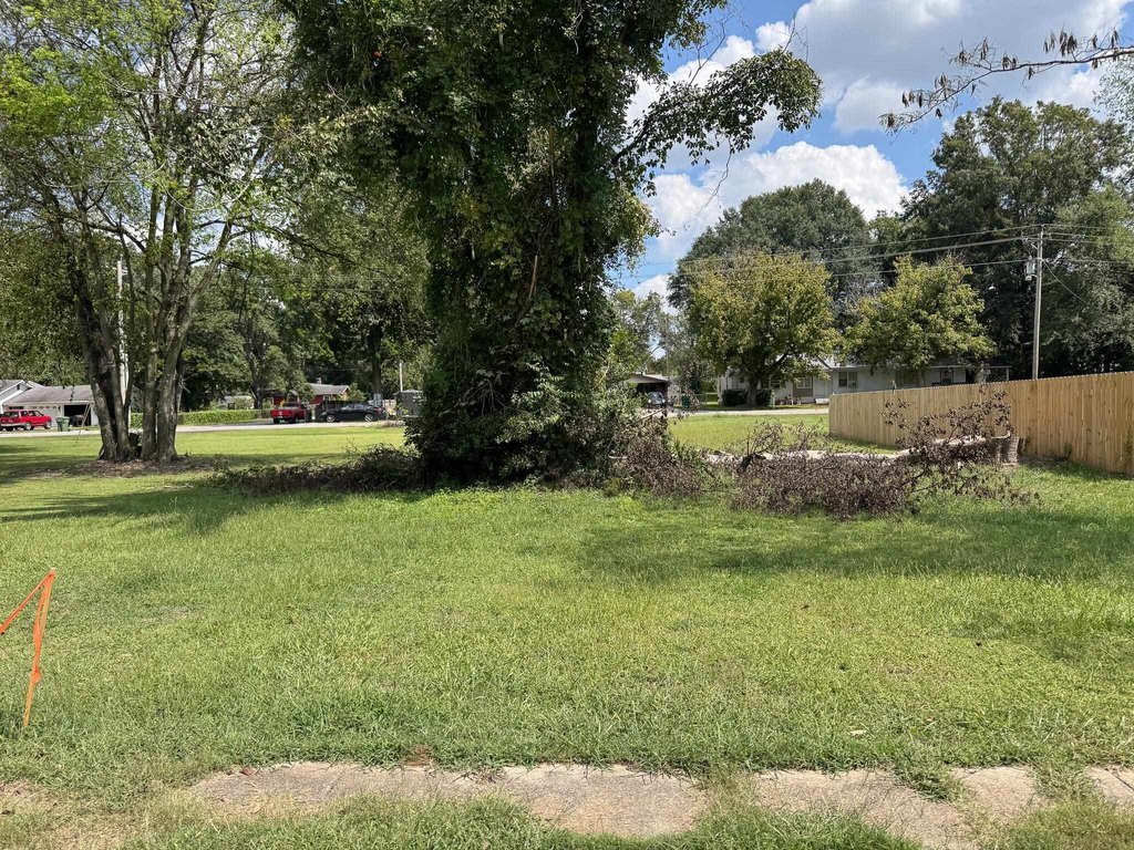 Picture 3