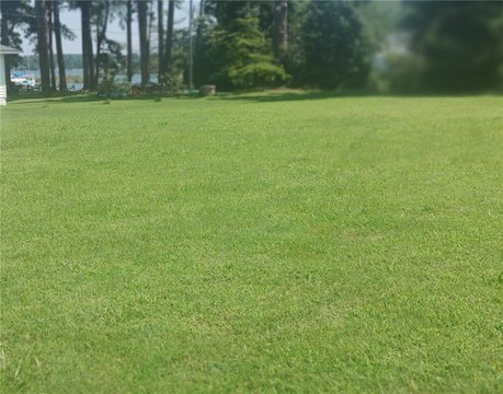 Waterfront Building Lot in Cobbs Creek