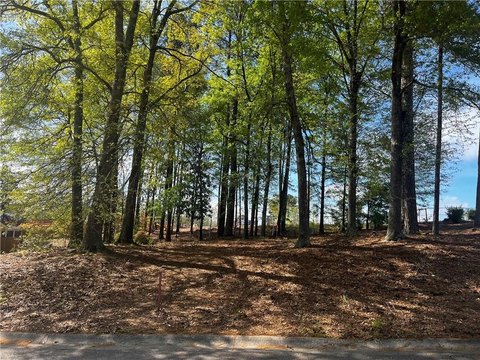 Residential Lot in Established Area