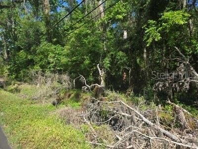 LAND - BROOKSVILLE, FL