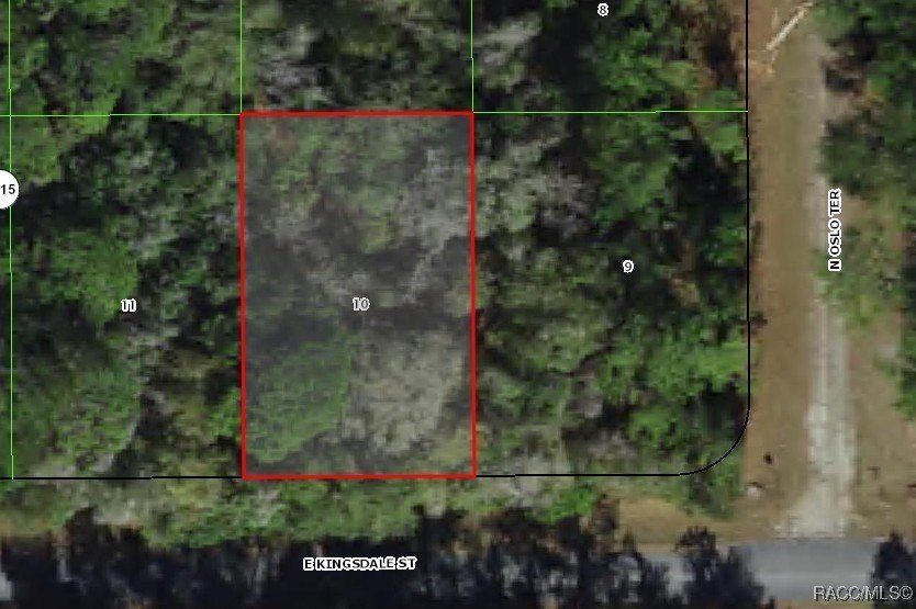 Citrus Springs Buildable Homesite Opportunity