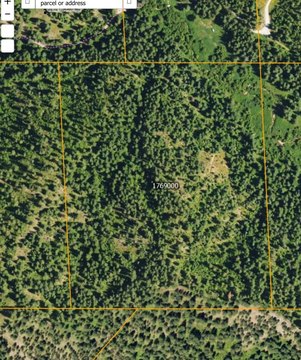 Treed 30 Acres in Springdale