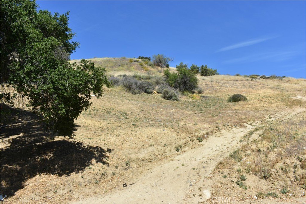 Picture 22