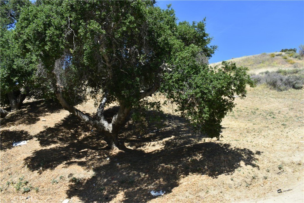 Picture 20