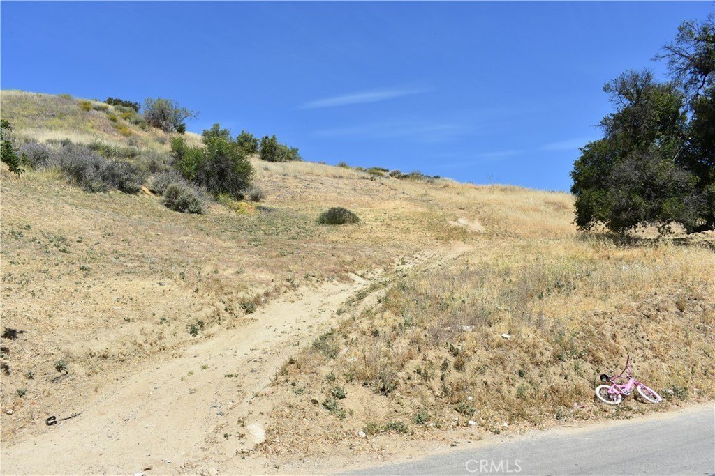 Picture 23