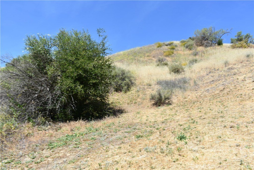 Picture 18