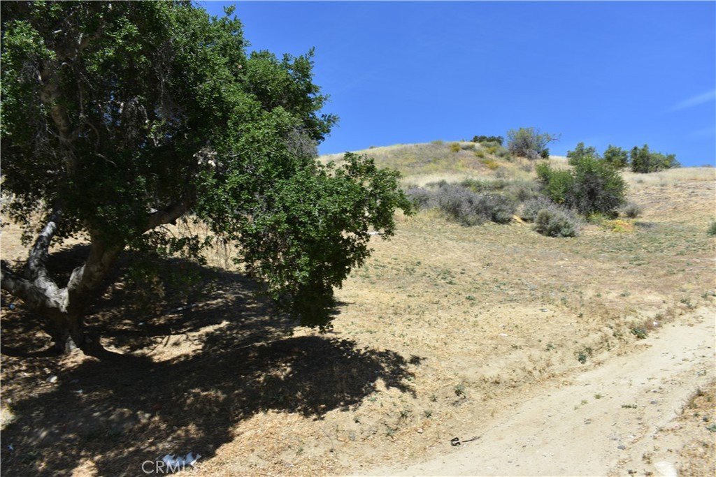 Picture 21