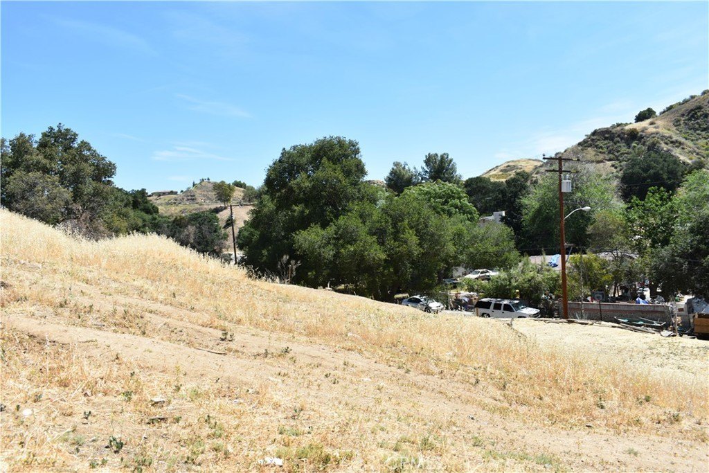 Picture 8