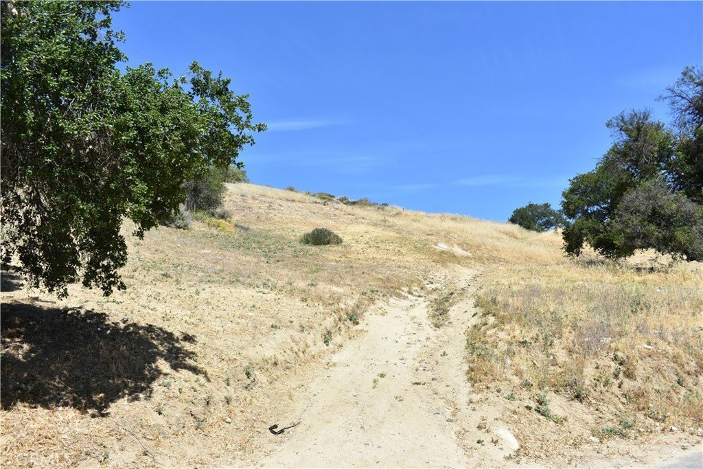 Picture 24
