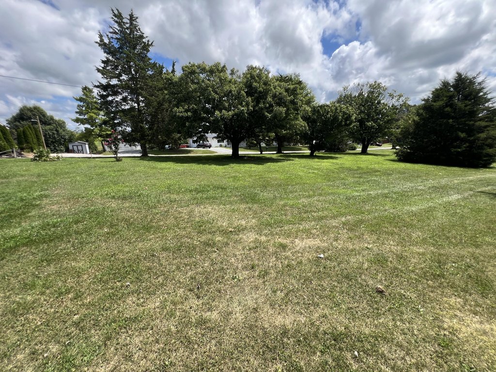 Picture 14