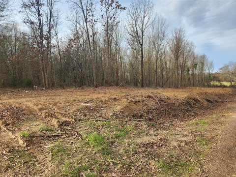Land For Sale in Sulphur Springs