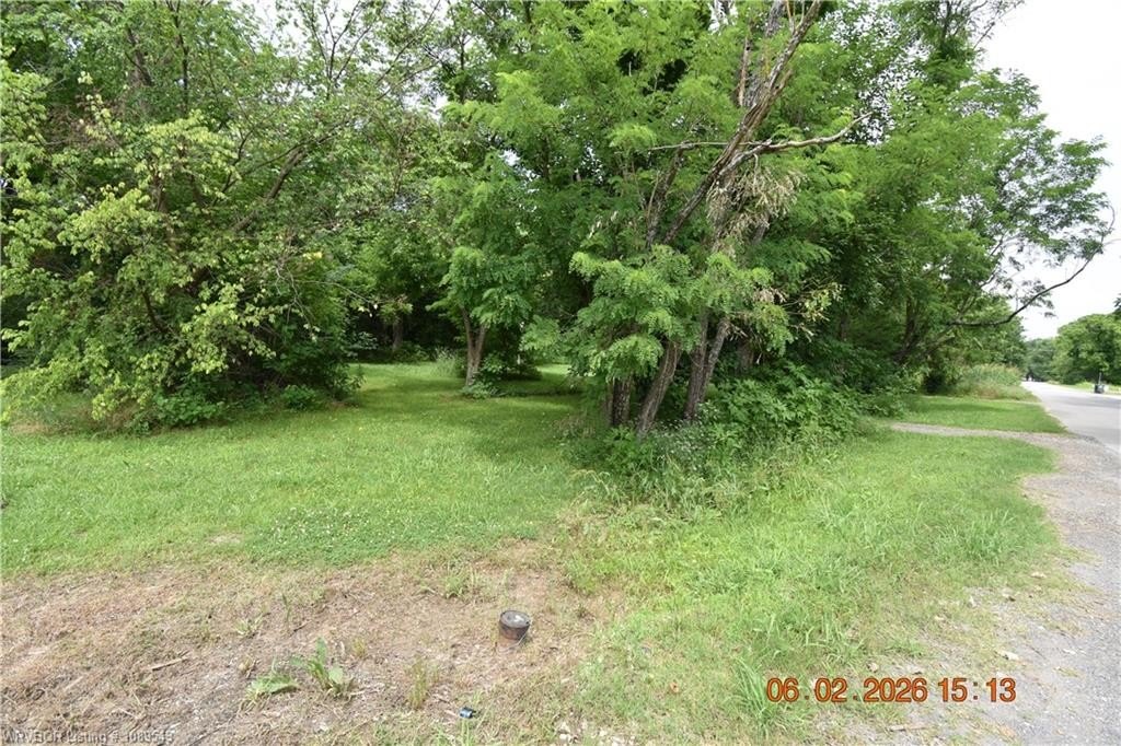 Picture 6