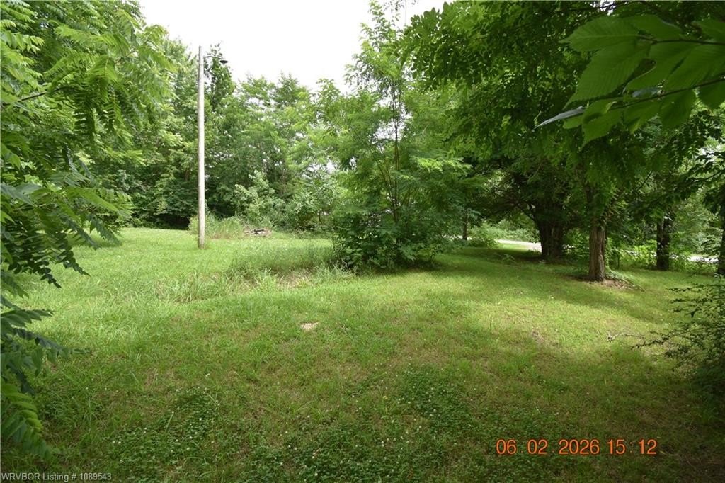 Picture 5