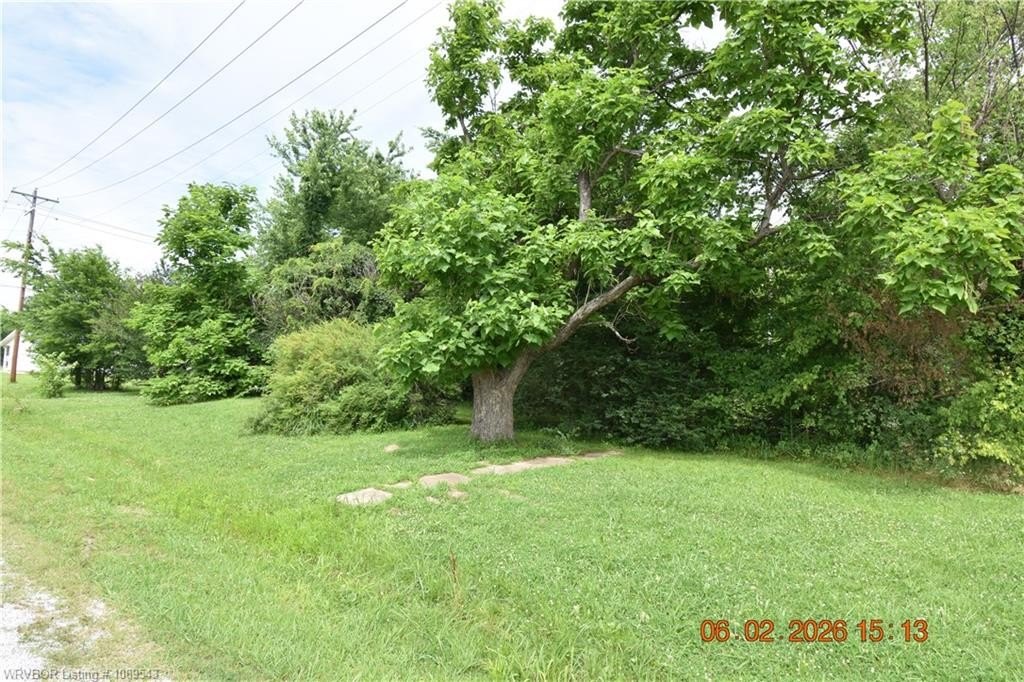Picture 9