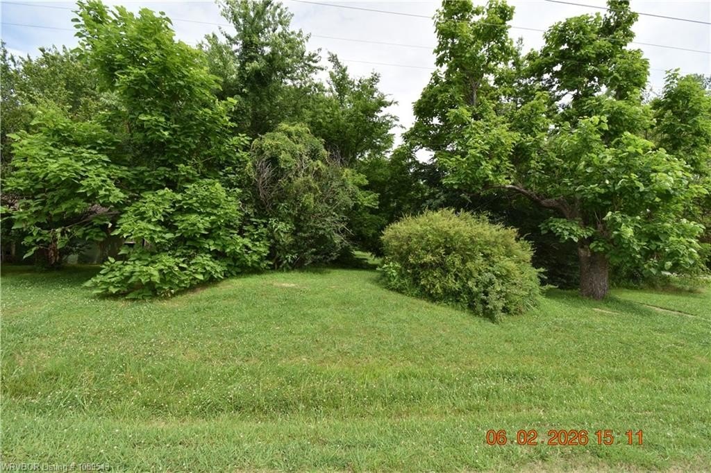 Picture 2