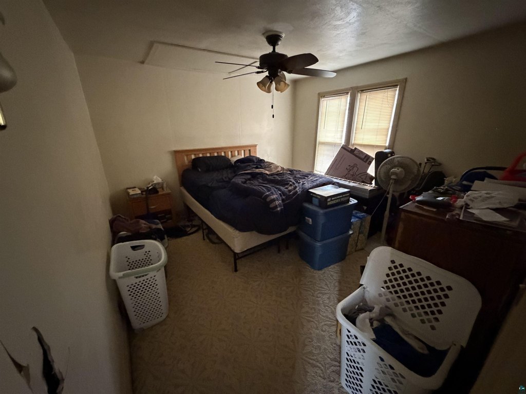 Picture 14