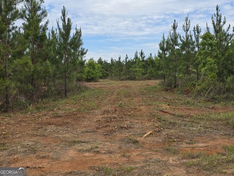 Ellaville, GA Homesite Land