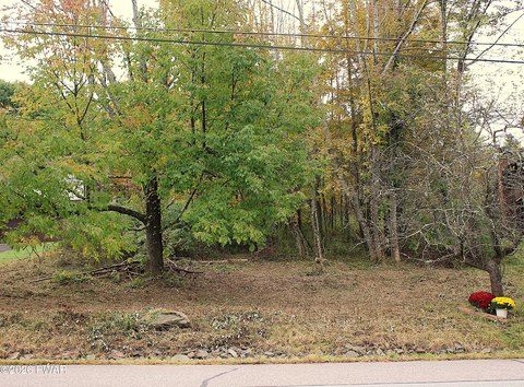 Land, Lake Ariel, PA