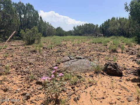 Land, Show Low, AZ