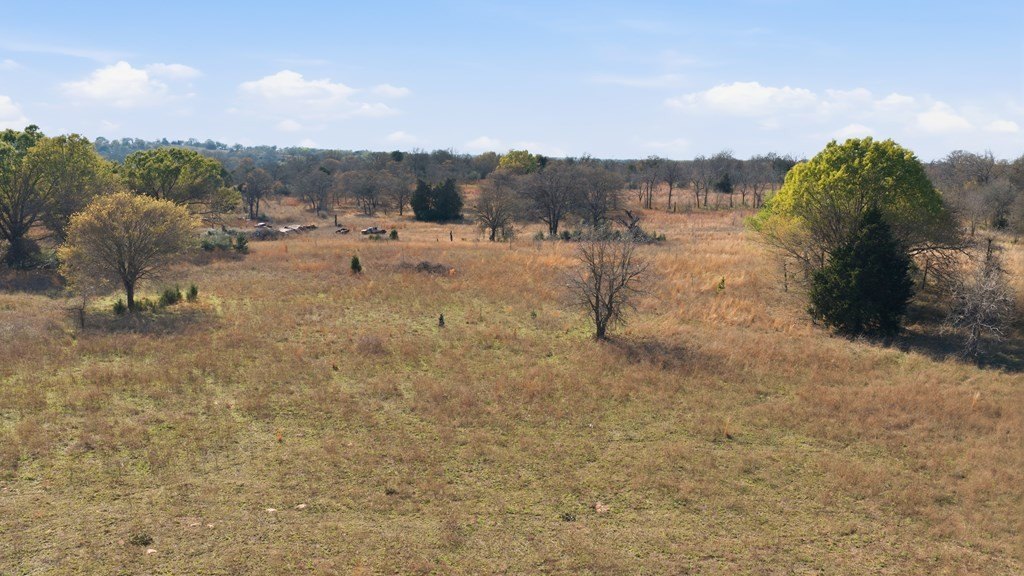 Picture 10