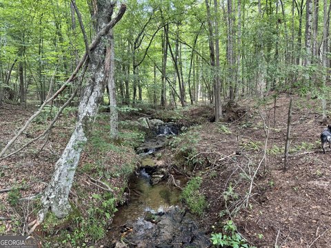 Heard County Land For Sale