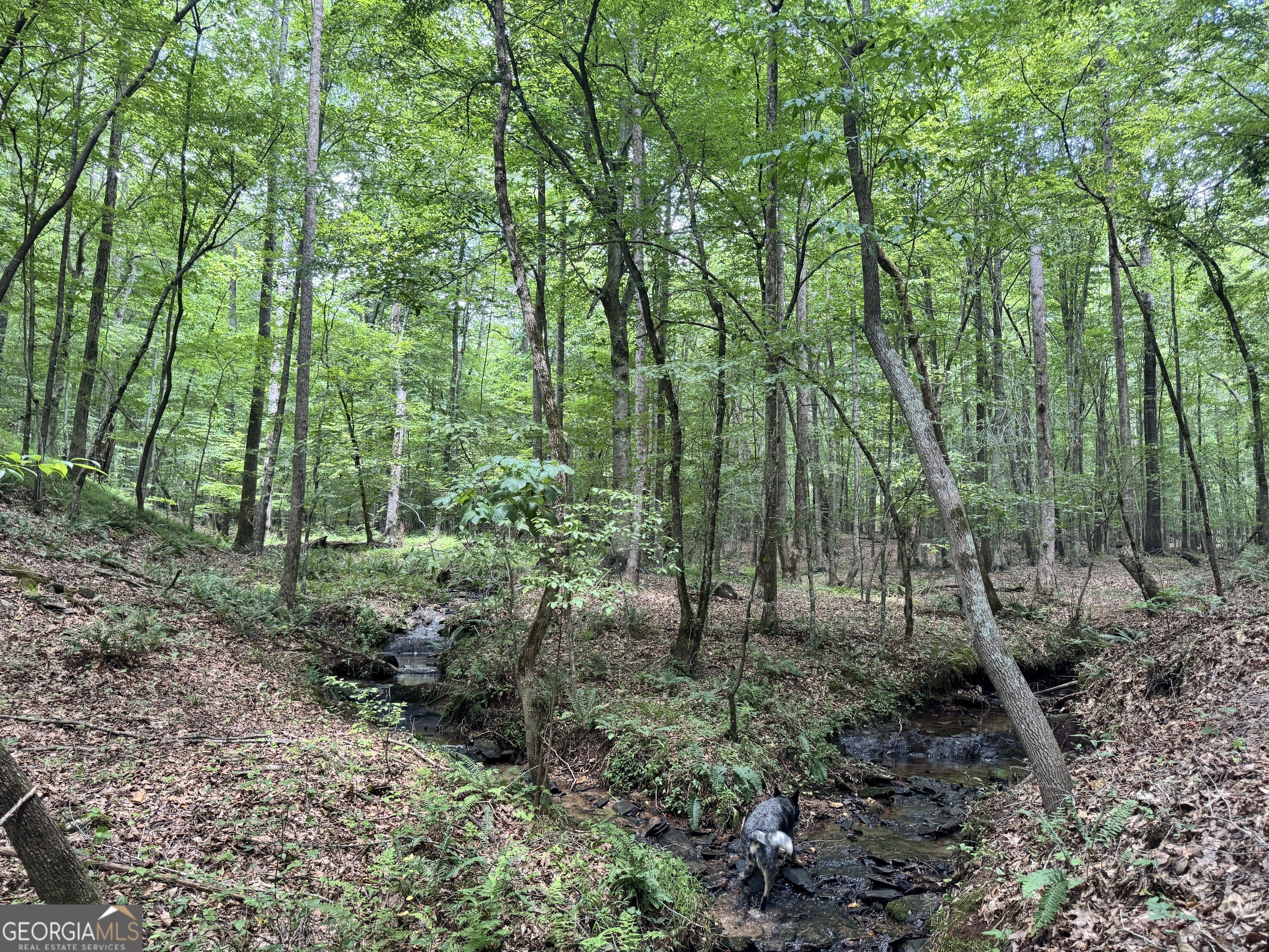 Heard County Land For Sale