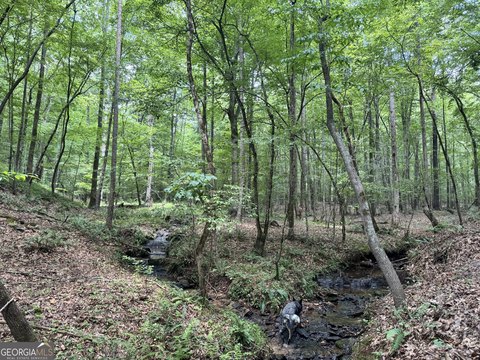 Heard County Land For Sale