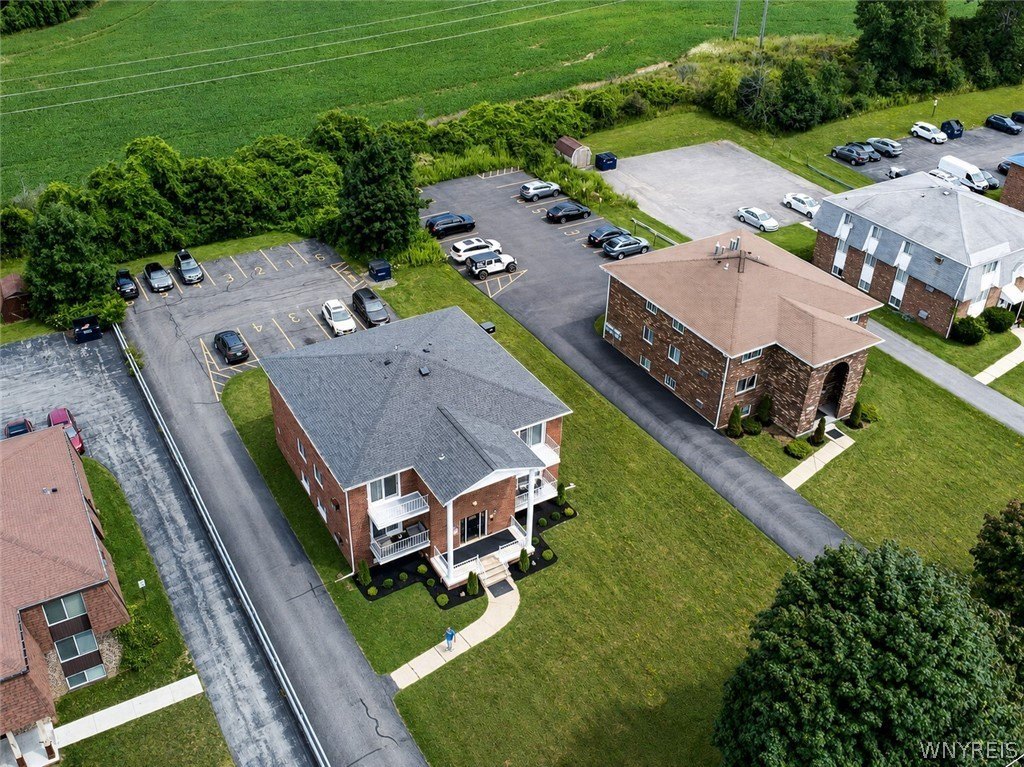Picture 4