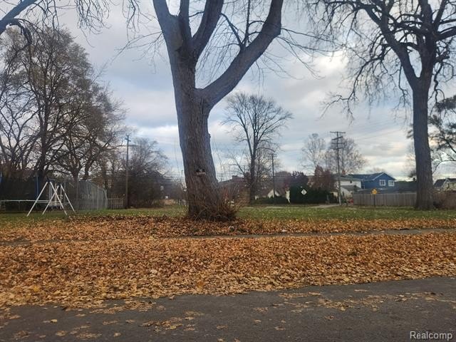 Picture 3