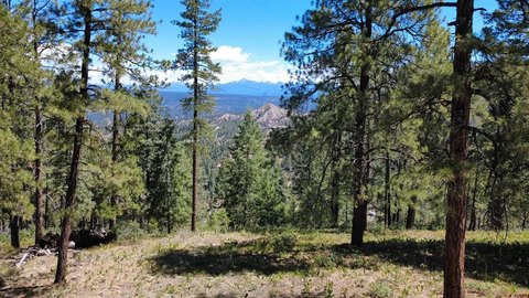 LAND - Pagosa Springs, CO