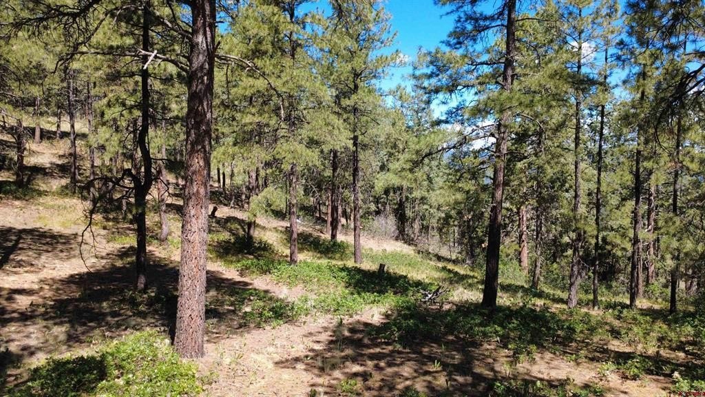 Picture 20